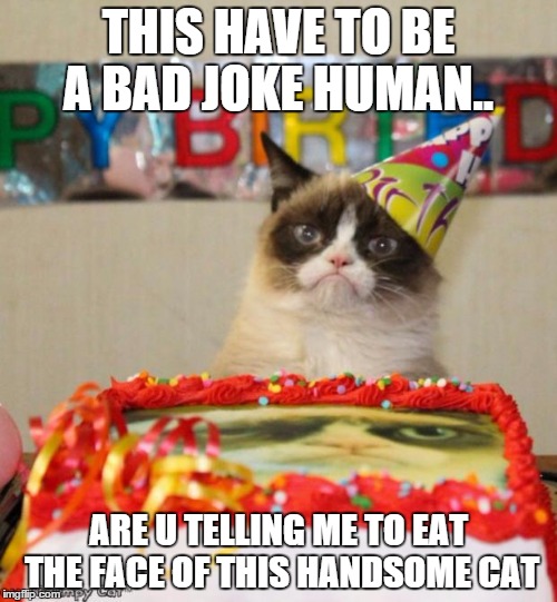 Grumpy Cat Birthday Meme | THIS HAVE TO BE A BAD JOKE HUMAN.. ARE U TELLING ME TO EAT THE FACE OF THIS HANDSOME CAT | image tagged in memes,grumpy cat birthday | made w/ Imgflip meme maker