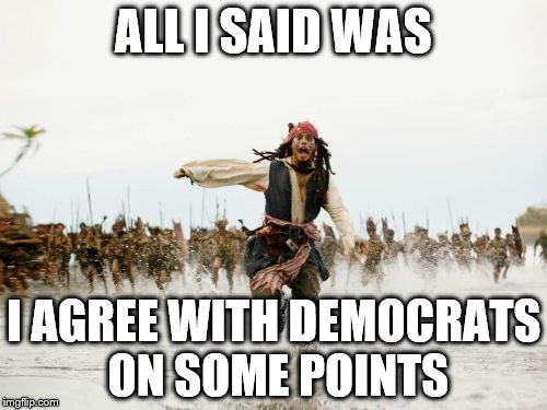 How Imgflip feels these days | ALL I SAID WAS; I AGREE WITH DEMOCRATS ON SOME POINTS | image tagged in memes,jack sparrow being chased | made w/ Imgflip meme maker