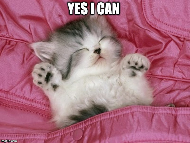 cute kitten sleeping  | YES I CAN | image tagged in cute kitten sleeping | made w/ Imgflip meme maker