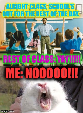 Don't take away my precious learning time!!! | ALRIGHT CLASS, SCHOOL'S OUT FOR THE REST OF THE DAY. REST OF CLASS: YAY!!!!! ME: NOOOOO!!! | image tagged in funny,i love school | made w/ Imgflip meme maker