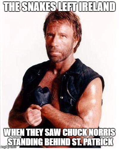 Why We Have St. Patrick's Day | THE SNAKES LEFT IRELAND; WHEN THEY SAW CHUCK NORRIS STANDING BEHIND ST. PATRICK | image tagged in chuck norris 2 | made w/ Imgflip meme maker