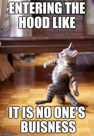 Cool Cat Stroll | ENTERING THE HOOD LIKE; IT IS NO ONE'S BUISNESS | image tagged in memes,cool cat stroll | made w/ Imgflip meme maker