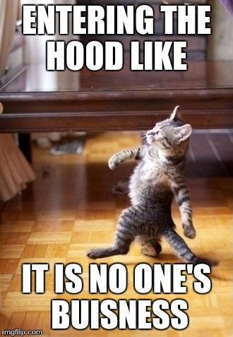 Cool Cat Stroll Meme | ENTERING THE HOOD LIKE; IT IS NO ONE'S BUISNESS | image tagged in memes,cool cat stroll | made w/ Imgflip meme maker