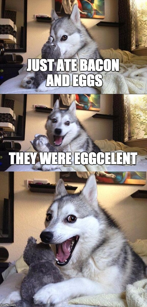 Bad Pun Dog | JUST ATE BACON AND EGGS; THEY WERE EGGCELENT | image tagged in memes,bad pun dog | made w/ Imgflip meme maker