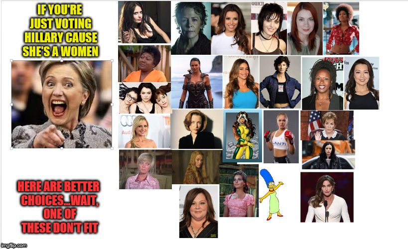 better choices | IF YOU'RE JUST VOTING HILLARY CAUSE SHE'S A WOMEN; HERE ARE BETTER CHOICES...WAIT, ONE OF THESE DON'T FIT | image tagged in election 2016 | made w/ Imgflip meme maker