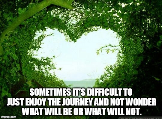 nature heart | SOMETIMES IT’S DIFFICULT TO JUST ENJOY THE JOURNEY AND NOT WONDER WHAT WILL BE OR WHAT WILL NOT. | image tagged in nature heart | made w/ Imgflip meme maker