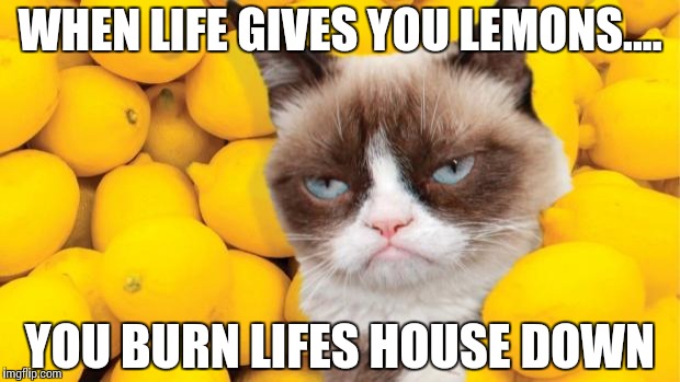 Grumpy Cat lemons | WHEN LIFE GIVES YOU LEMONS.... YOU BURN LIFES HOUSE DOWN | image tagged in grumpy cat lemons | made w/ Imgflip meme maker