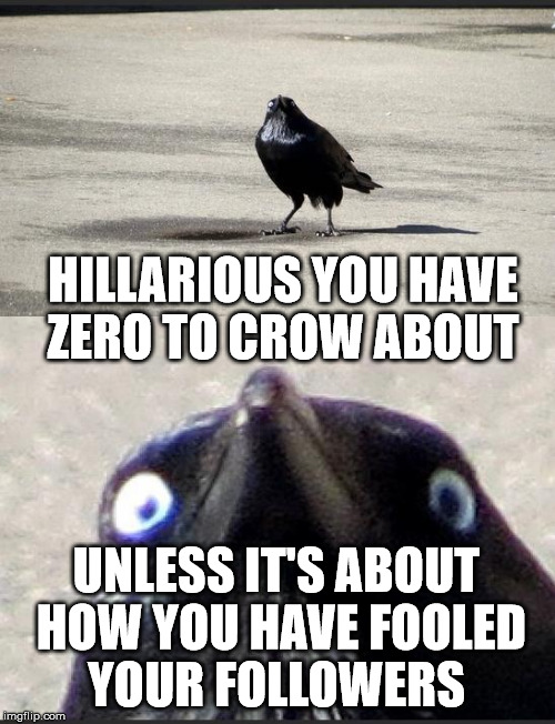 insanity crow | HILLARIOUS YOU HAVE ZERO TO CROW ABOUT; UNLESS IT'S ABOUT HOW YOU HAVE FOOLED YOUR FOLLOWERS | image tagged in insanity crow | made w/ Imgflip meme maker