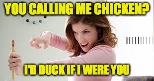 YOU CALLING ME CHICKEN? I'D DUCK IF I WERE YOU | made w/ Imgflip meme maker