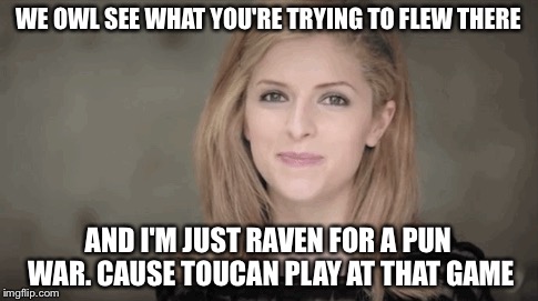 WE OWL SEE WHAT YOU'RE TRYING TO FLEW THERE AND I'M JUST RAVEN FOR A PUN WAR. CAUSE TOUCAN PLAY AT THAT GAME | made w/ Imgflip meme maker