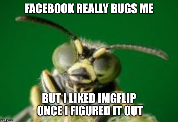 MR GREEN BUG | FACEBOOK REALLY BUGS ME BUT I LIKED IMGFLIP ONCE I FIGURED IT OUT | image tagged in mr green bug | made w/ Imgflip meme maker