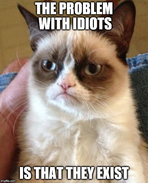 Idiots | THE PROBLEM WITH IDIOTS; IS THAT THEY EXIST | image tagged in memes,grumpy cat | made w/ Imgflip meme maker