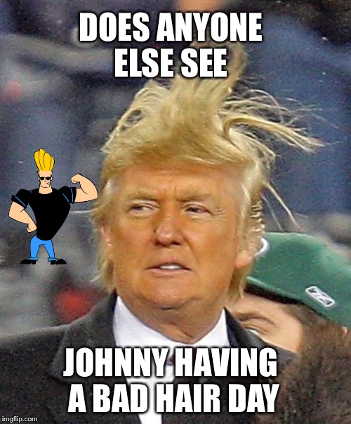 Donald Trumph hair | DOES ANYONE ELSE SEE; JOHNNY HAVING A BAD HAIR DAY | image tagged in donald trumph hair | made w/ Imgflip meme maker