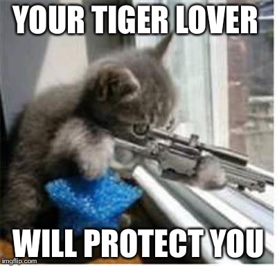 cats with guns | YOUR TIGER LOVER; WILL PROTECT YOU | image tagged in cats with guns | made w/ Imgflip meme maker
