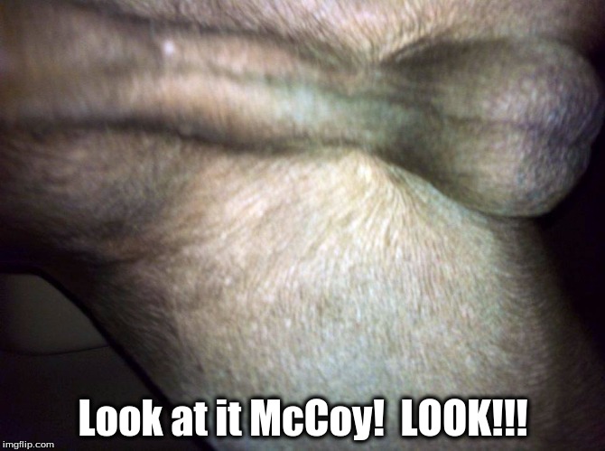 Look! | Look at it McCoy!  LOOK!!! | image tagged in balls | made w/ Imgflip meme maker
