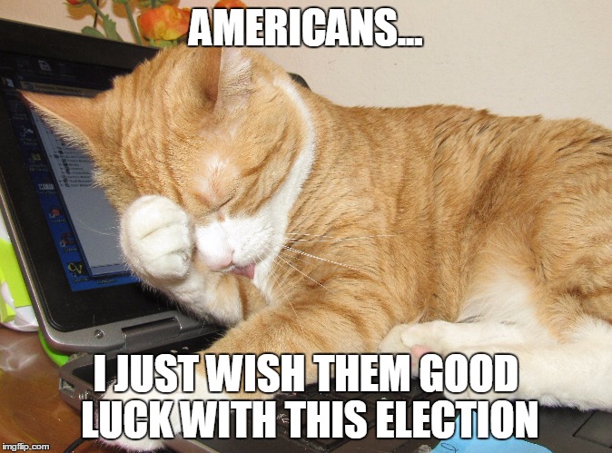 Election 2016 | AMERICANS... I JUST WISH THEM GOOD LUCK WITH THIS ELECTION | image tagged in election 2016,trump,facepalm,facepaw,uncertainty,sorry cat | made w/ Imgflip meme maker