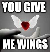 i love you | YOU GIVE; ME WINGS | image tagged in i love you | made w/ Imgflip meme maker
