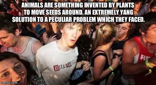 Trees made us | ANIMALS ARE SOMETHING INVENTED BY PLANTS TO MOVE SEEDS AROUND. AN EXTREMELY YANG SOLUTION TO A PECULIAR PROBLEM WHICH THEY FACED. | image tagged in memes,sudden clarity clarence,funny,stupid,lol,humanity | made w/ Imgflip meme maker