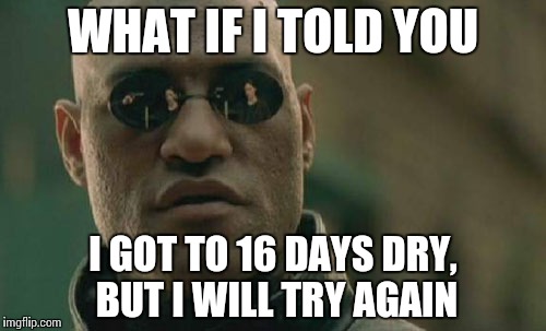 Matrix Morpheus Meme | WHAT IF I TOLD YOU; I GOT TO 16 DAYS DRY, BUT I WILL TRY AGAIN | image tagged in memes,matrix morpheus | made w/ Imgflip meme maker