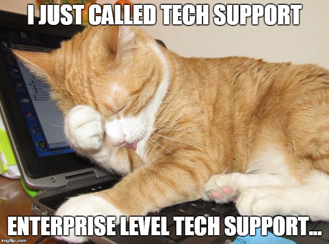 Techsupport reality | I JUST CALLED TECH SUPPORT; ENTERPRISE LEVEL TECH SUPPORT... | image tagged in technical support,frustration,talking to overseas support,help me now,help,tech help | made w/ Imgflip meme maker