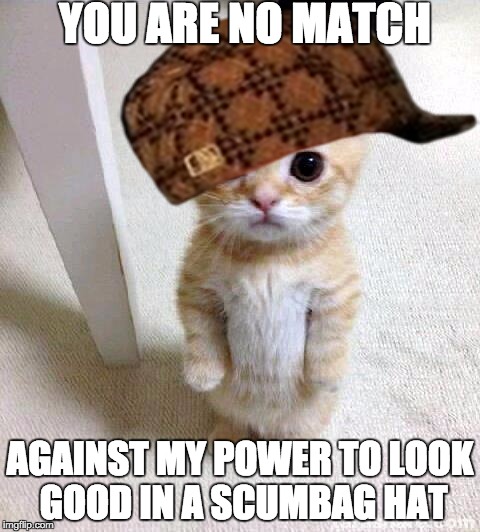 Cute Cat Meme | YOU ARE NO MATCH; AGAINST MY POWER TO LOOK GOOD IN A SCUMBAG HAT | image tagged in memes,cute cat,scumbag | made w/ Imgflip meme maker