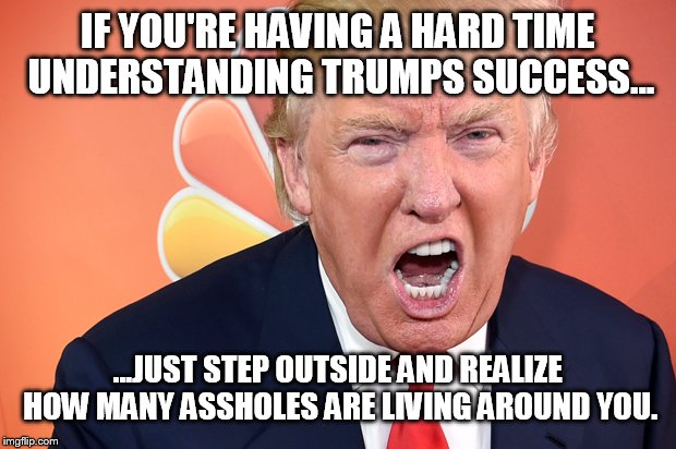 I'm just one of many | IF YOU'RE HAVING A HARD TIME UNDERSTANDING TRUMPS SUCCESS... ...JUST STEP OUTSIDE AND REALIZE HOW MANY ASSHOLES ARE LIVING AROUND YOU. | image tagged in trump,memes,funny | made w/ Imgflip meme maker
