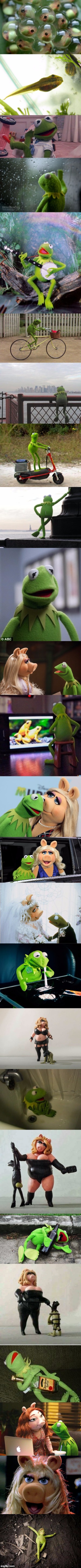 The Rise and Fall of Kermit | image tagged in memes,kermit the frog,miss piggy | made w/ Imgflip meme maker