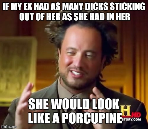 Ancient Aliens | IF MY EX HAD AS MANY DICKS STICKING OUT OF HER AS SHE HAD IN HER; SHE WOULD LOOK LIKE A PORCUPINE | image tagged in memes,ancient aliens | made w/ Imgflip meme maker