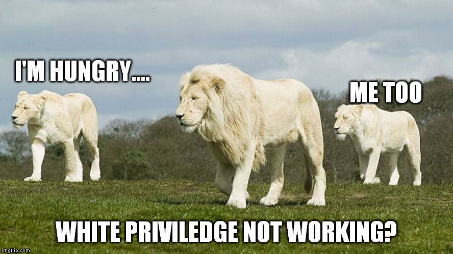I'M HUNGRY.... WHITE PRIVILEDGE NOT WORKING? ME TOO | made w/ Imgflip meme maker