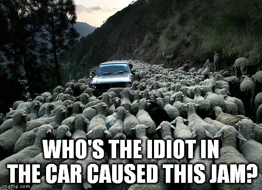 WHO'S THE IDIOT IN THE CAR CAUSED THIS JAM? | made w/ Imgflip meme maker