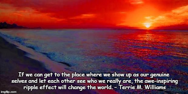 Ocean Sunset | If we can get to the place where we show up as our genuine selves and let each other see who we really are, the awe-inspiring ripple effect will change the world. – Terrie M. Williams | image tagged in ocean sunset | made w/ Imgflip meme maker
