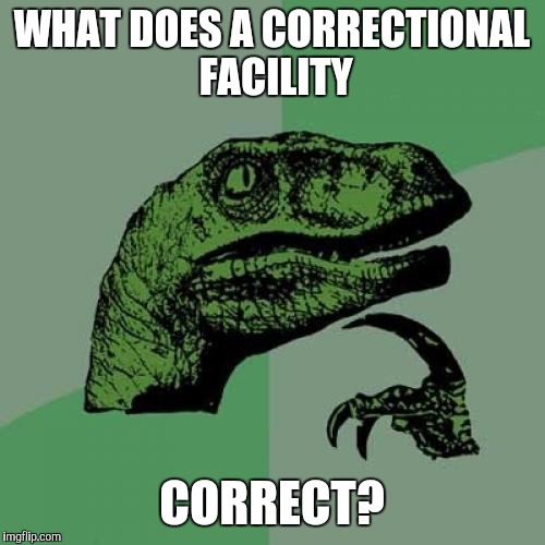 Philosoraptor | WHAT DOES A CORRECTIONAL FACILITY; CORRECT? | image tagged in memes,philosoraptor | made w/ Imgflip meme maker