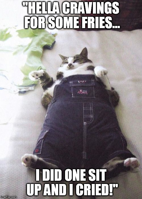 Fat Cat | "HELLA CRAVINGS FOR SOME FRIES... I DID ONE SIT UP AND I CRIED!" | image tagged in memes,fat cat | made w/ Imgflip meme maker