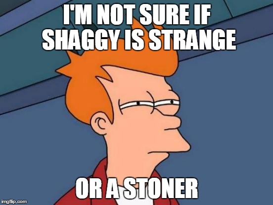 Futurama Fry | I'M NOT SURE IF SHAGGY IS STRANGE; OR A STONER | image tagged in memes,futurama fry | made w/ Imgflip meme maker