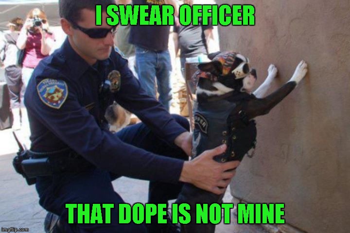 I SWEAR OFFICER THAT DOPE IS NOT MINE | made w/ Imgflip meme maker