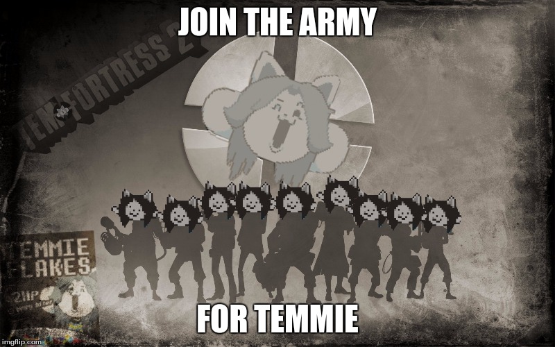 Tem Fortress | JOIN THE ARMY; FOR TEMMIE | image tagged in memes | made w/ Imgflip meme maker