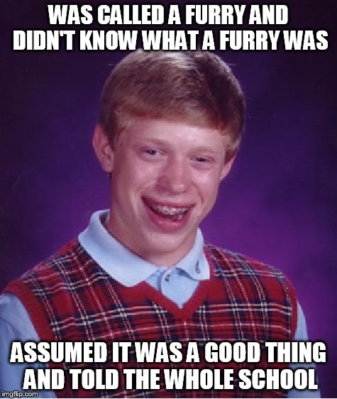 Bad Luck Brian | WAS CALLED A FURRY AND DIDN'T KNOW WHAT A FURRY WAS; ASSUMED IT WAS A GOOD THING AND TOLD THE WHOLE SCHOOL | image tagged in memes,bad luck brian | made w/ Imgflip meme maker