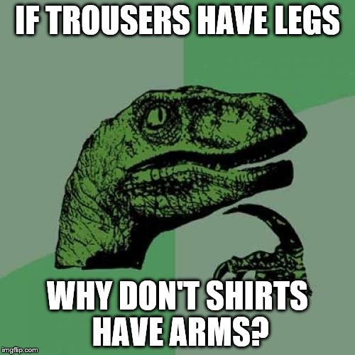 Philosoraptor | IF TROUSERS HAVE LEGS; WHY DON'T SHIRTS HAVE ARMS? | image tagged in memes,philosoraptor,clothes | made w/ Imgflip meme maker