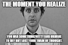 THE MOMENT YOU REALIZE; YOU HAD SOMETHING WITTY AND URBANE TO SAY BUT LOST YOUR TRAIN OF THOUGHT. | image tagged in funny | made w/ Imgflip meme maker