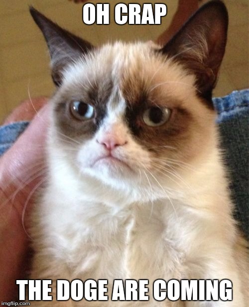 Grumpy Cat Meme | OH CRAP; THE DOGE ARE COMING | image tagged in memes,grumpy cat | made w/ Imgflip meme maker