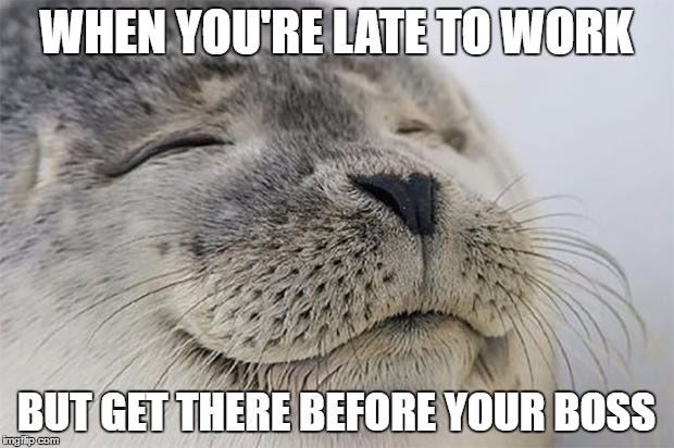 Satisfied Seal | WHEN YOU'RE LATE TO WORK; BUT GET THERE BEFORE YOUR BOSS | image tagged in memes,satisfied seal,AdviceAnimals | made w/ Imgflip meme maker