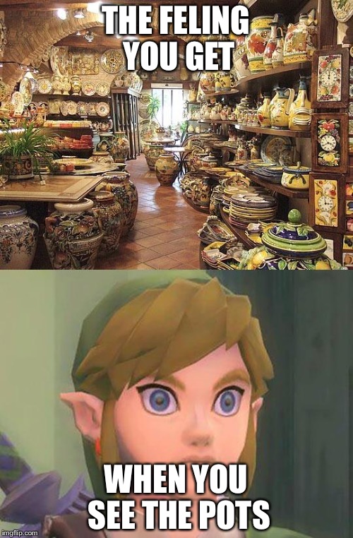 zelda | THE FELING YOU GET; WHEN YOU SEE THE POTS | image tagged in zelda | made w/ Imgflip meme maker