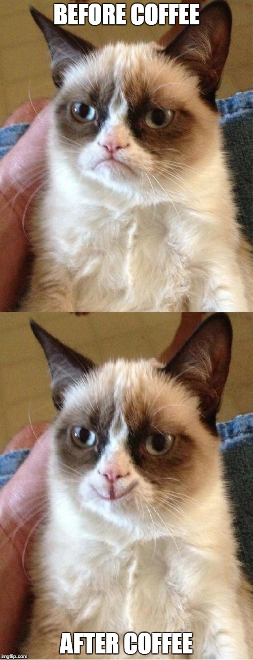 Grumpy Cat 2x Smile | BEFORE COFFEE; AFTER COFFEE | image tagged in grumpy cat 2x smile | made w/ Imgflip meme maker