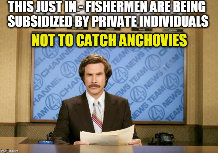 THIS JUST IN - FISHERMEN ARE BEING SUBSIDIZED BY PRIVATE INDIVIDUALS NOT TO CATCH ANCHOVIES | made w/ Imgflip meme maker