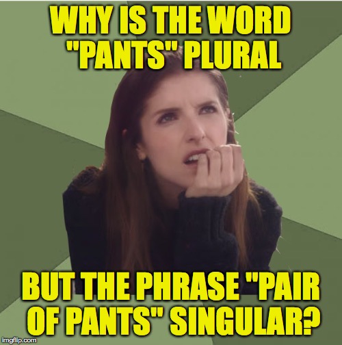 English, go figure | WHY IS THE WORD "PANTS" PLURAL; BUT THE PHRASE "PAIR OF PANTS" SINGULAR? | image tagged in philosophanna | made w/ Imgflip meme maker