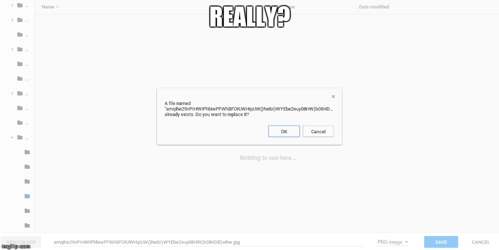 Really Chrome? | REALLY? | image tagged in memes,funny memes,fails,really,internet trolls,chromebook | made w/ Imgflip meme maker