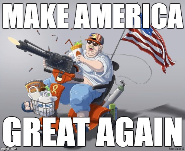 Scooter | MAKE AMERICA; GREAT AGAIN | image tagged in scooter | made w/ Imgflip meme maker