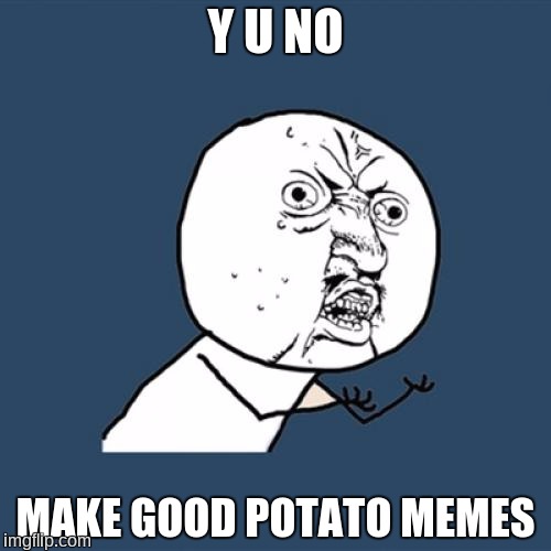 Y U No Meme | Y U NO; MAKE GOOD POTATO MEMES | image tagged in memes,y u no,potato,taters,potato memes | made w/ Imgflip meme maker