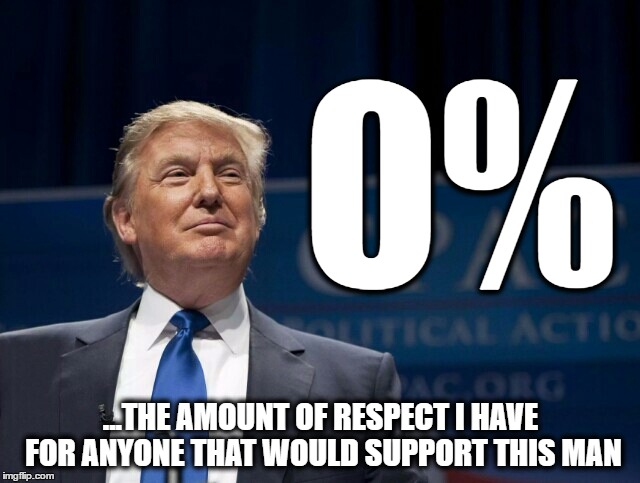 Smirking Donald Trump | 0%; ...THE AMOUNT OF RESPECT I HAVE FOR ANYONE THAT WOULD SUPPORT THIS MAN | image tagged in smirking donald trump | made w/ Imgflip meme maker