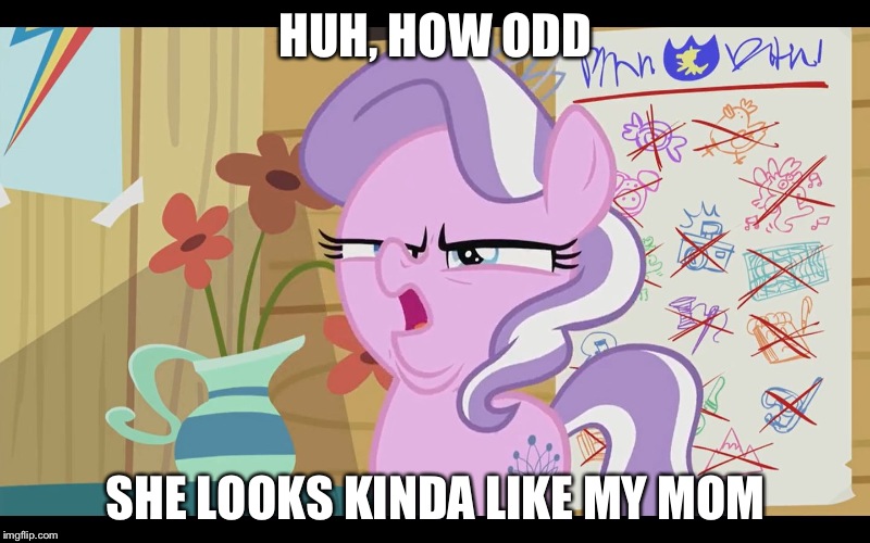 I can really see the resemblance | HUH, HOW ODD; SHE LOOKS KINDA LIKE MY MOM | image tagged in mlp wtf | made w/ Imgflip meme maker